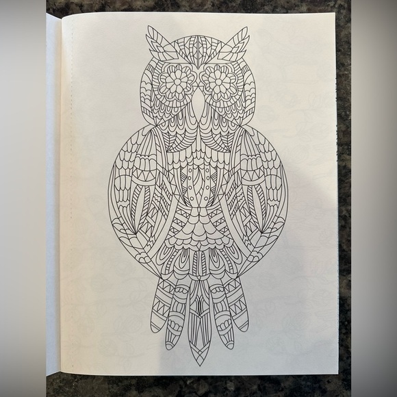 Color Art and Magical Garden Coloring Book Bundle - Picture 2 of 5